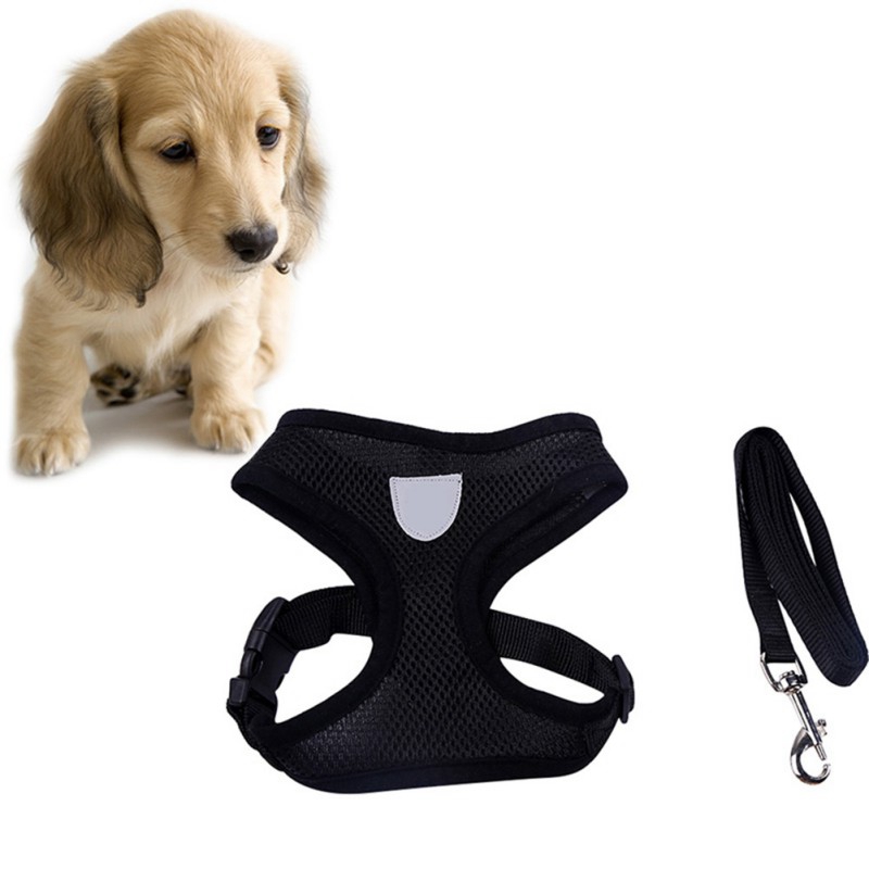 Mesh Dog Harness with Leash Vest Pet Puppy Breathable